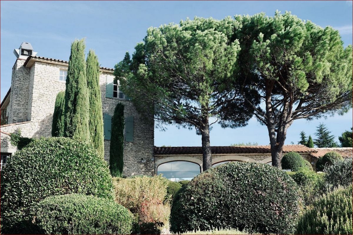 Kiedy przycinać wierzbę? Poznaj najlepszy czas i metody przycinania wierzby