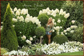 Kiedy sadzić hortensje bukietowe - poznaj najlepszy czas i wskazówki