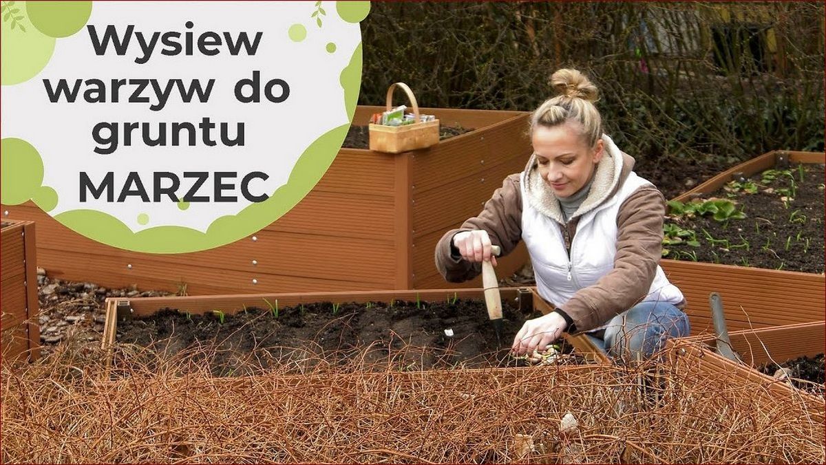 Kiedy sadzić pory do gruntu? Sprawdź idealny czas i uzyskaj obfite plony!