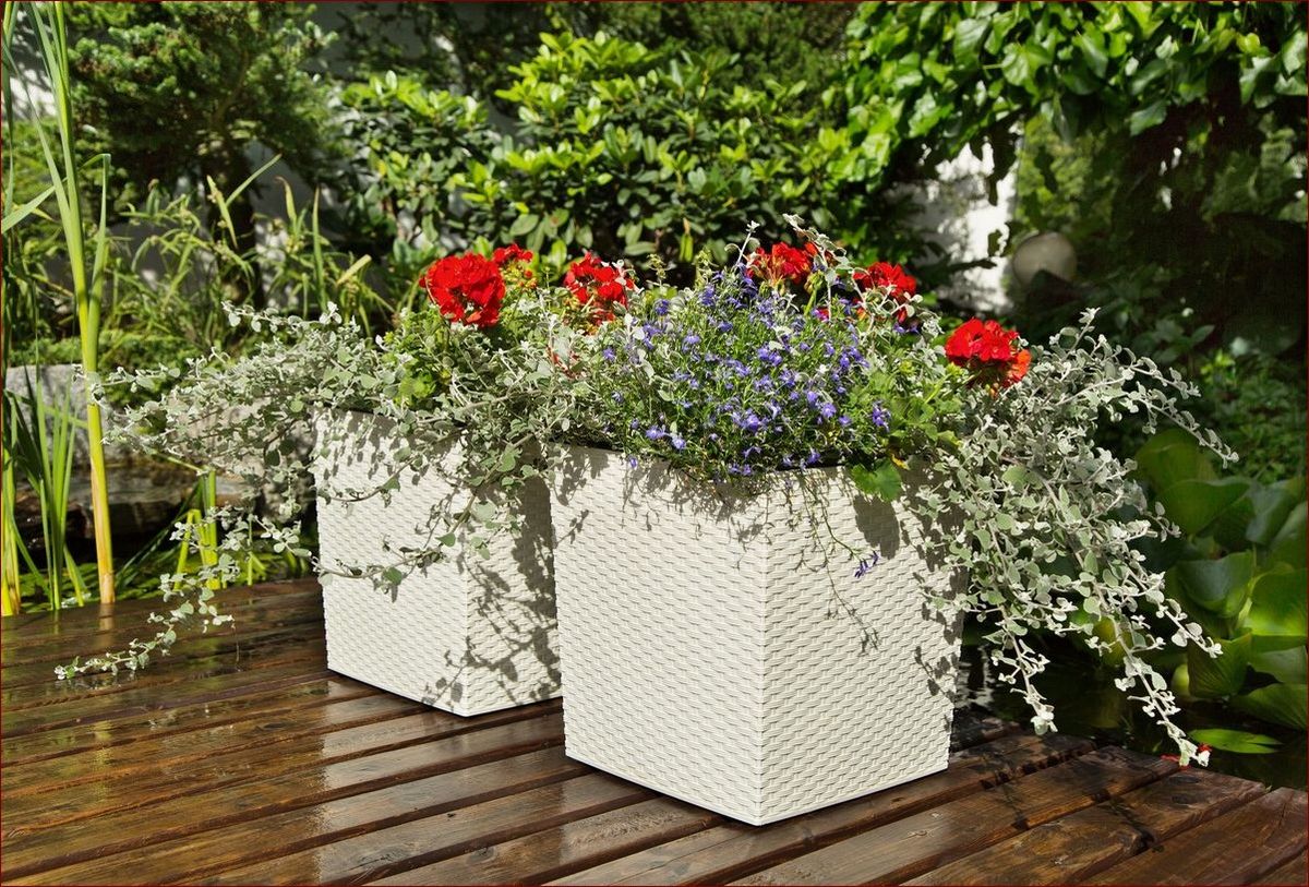 Kwiaty w doniczce na tarasie - Twój ogród na świeżym powietrzu