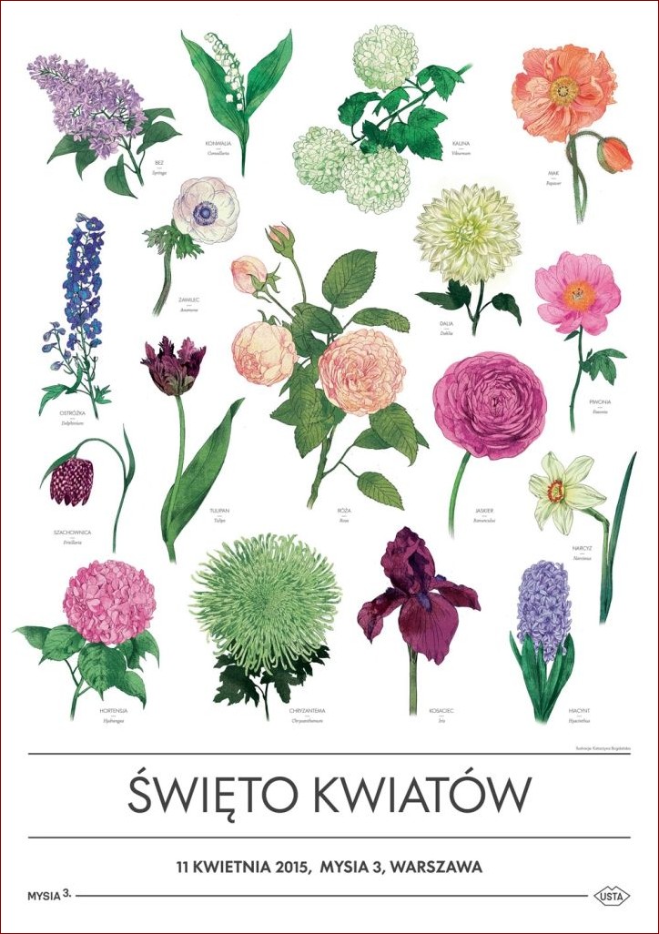 Kwiaty wiosenne nazwy - poznaj piękno i znaczenie kwiatów tego okresu