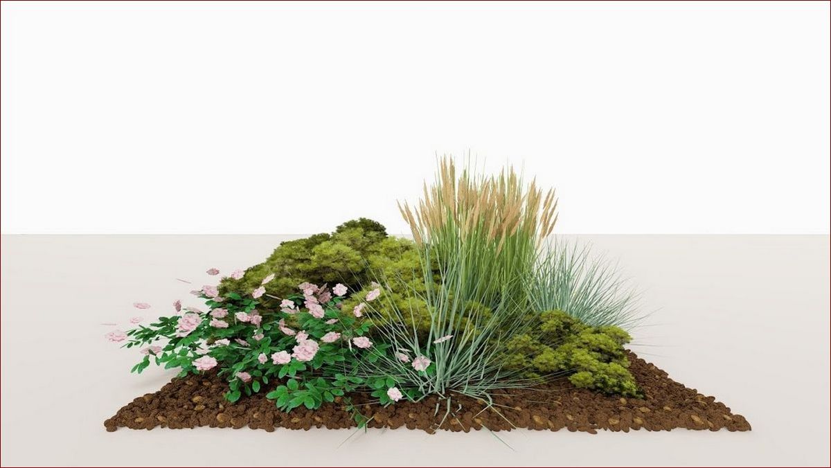 Kwiaty zwisające wieloletnie - Trwałe ozdoby, które odmienią Twój ogród