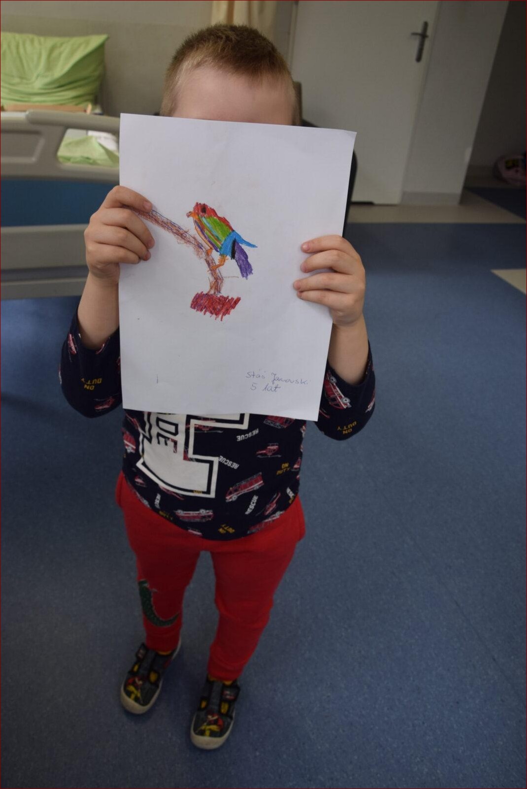 Ptaki występujące w Polsce - bogactwo gatunków i ich niezwykłe siedliska () Ptaki występujące w Polsce - bogactwo gatunków i ich niezwykłe siedliska