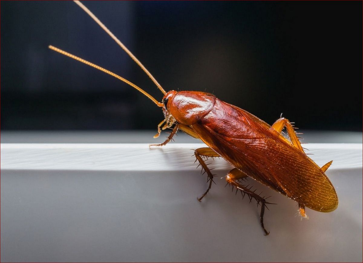 Robaki w domu - Jak skutecznie pozbyć się tych uporczywych intruzów?