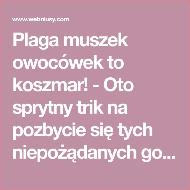 Co odstrasza szerszenie: Skuteczny przewodnik na pozbycie się tych uporczywych gości