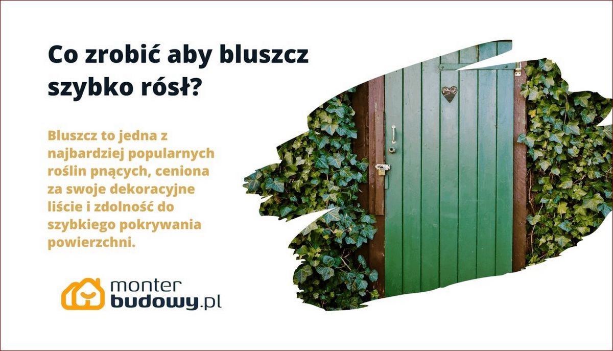 Co Zrobić, aby Bluszcz Rósł Błyskawicznie? 8 Nieoczywistych Trików dla Bujnej Zieleni