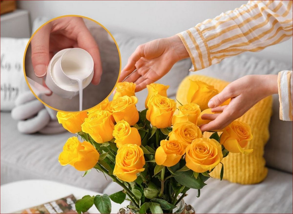 Co zrobić, żeby róże długo stały? Sprawdzone sposoby na przedłużenie trwałości kwiatów