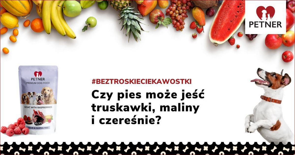 Czy pies może jeść truskawki? Nieoczekiwane korzyści i zagrożenia smakołyków