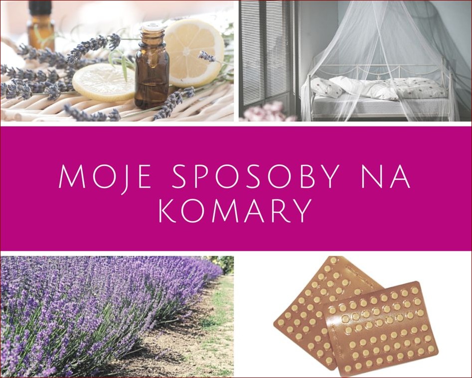 Domowe sposoby na komary: Twój naturalny obrońca przed letnimi intruzami