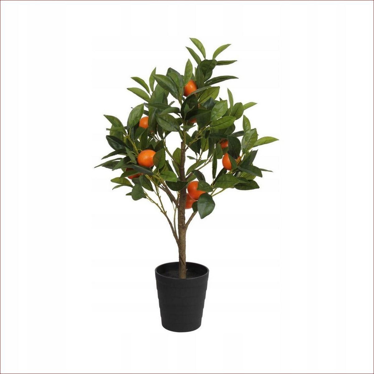 Drzewko pomarańczowe w domu: Sekrety uprawy egzotycznych owoców we wnętrzu