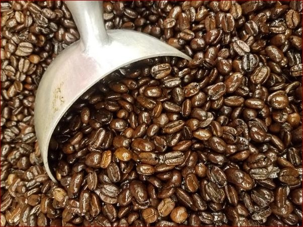 Fusy z kawy jako nawóz - Sekrety naturalnego wzrostu roślin i ogrodu