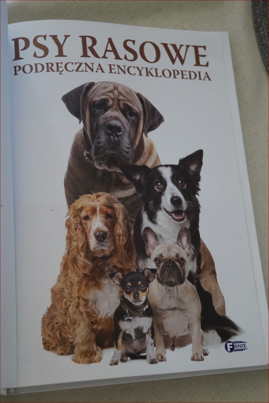 Ile jest ras psów? Odkryj niesamowitą różnorodność naszych czworonożnych przyjaciół!