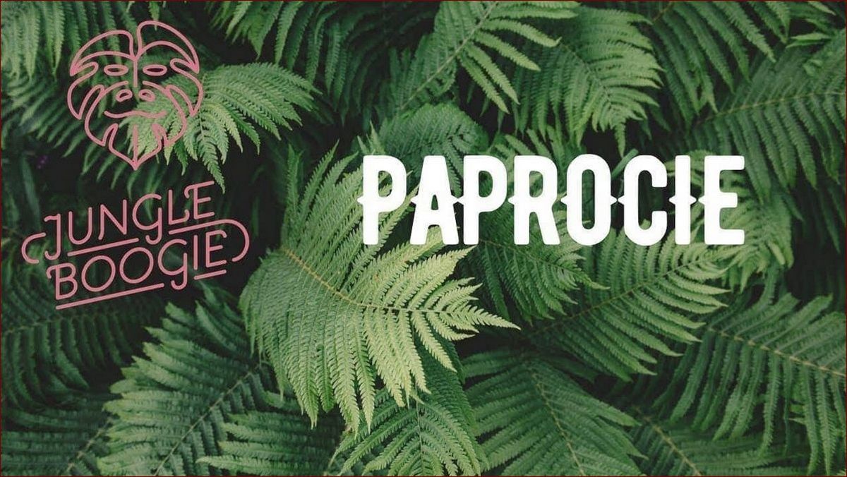 Jak dbać o paprotkę? Kompletny poradnik pielęgnacji tych egzotycznych roślin