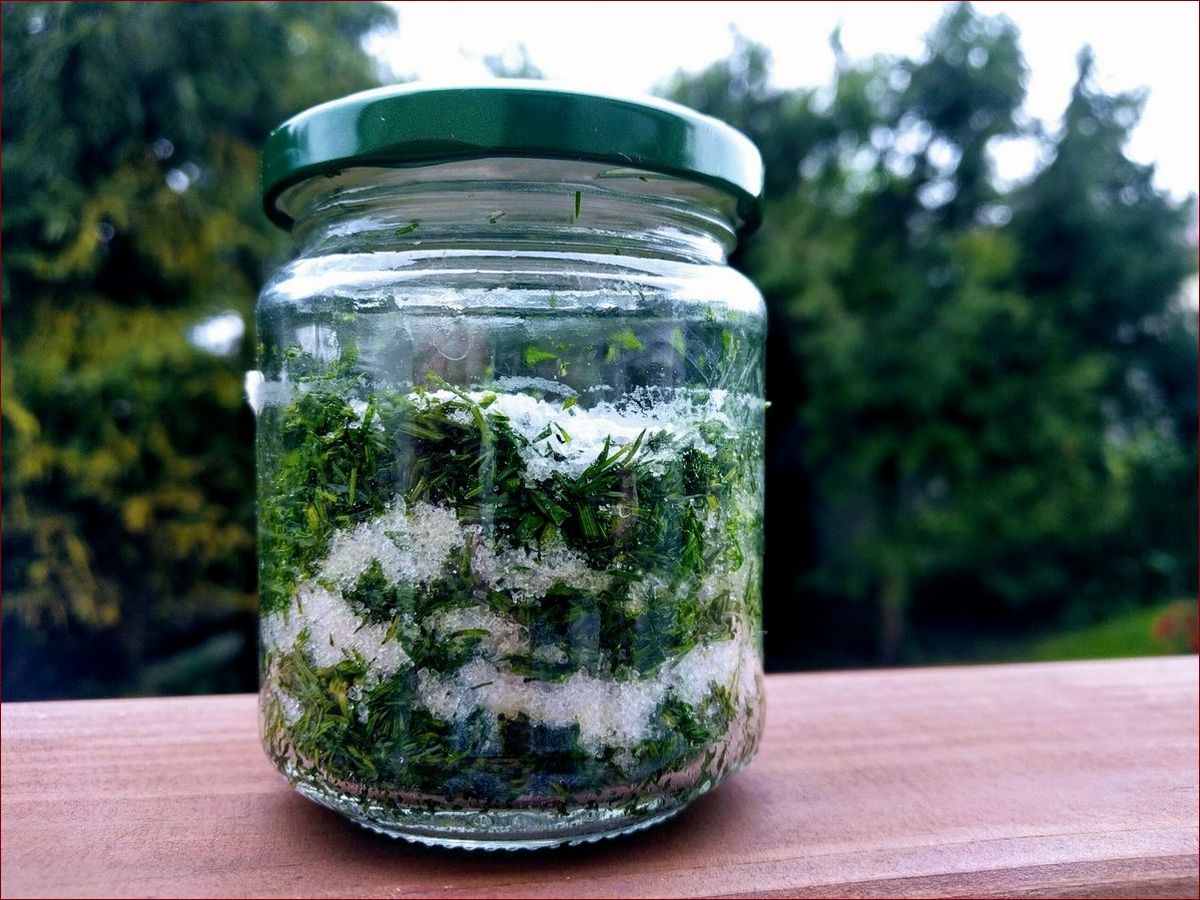 Jak długo wschodzi koperek? Sprawdź czas wzrostu tej smacznej przyprawy