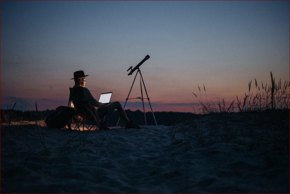 Jak posadzić miętę? Kompletny przewodnik dla początkujących i zaawansowanych