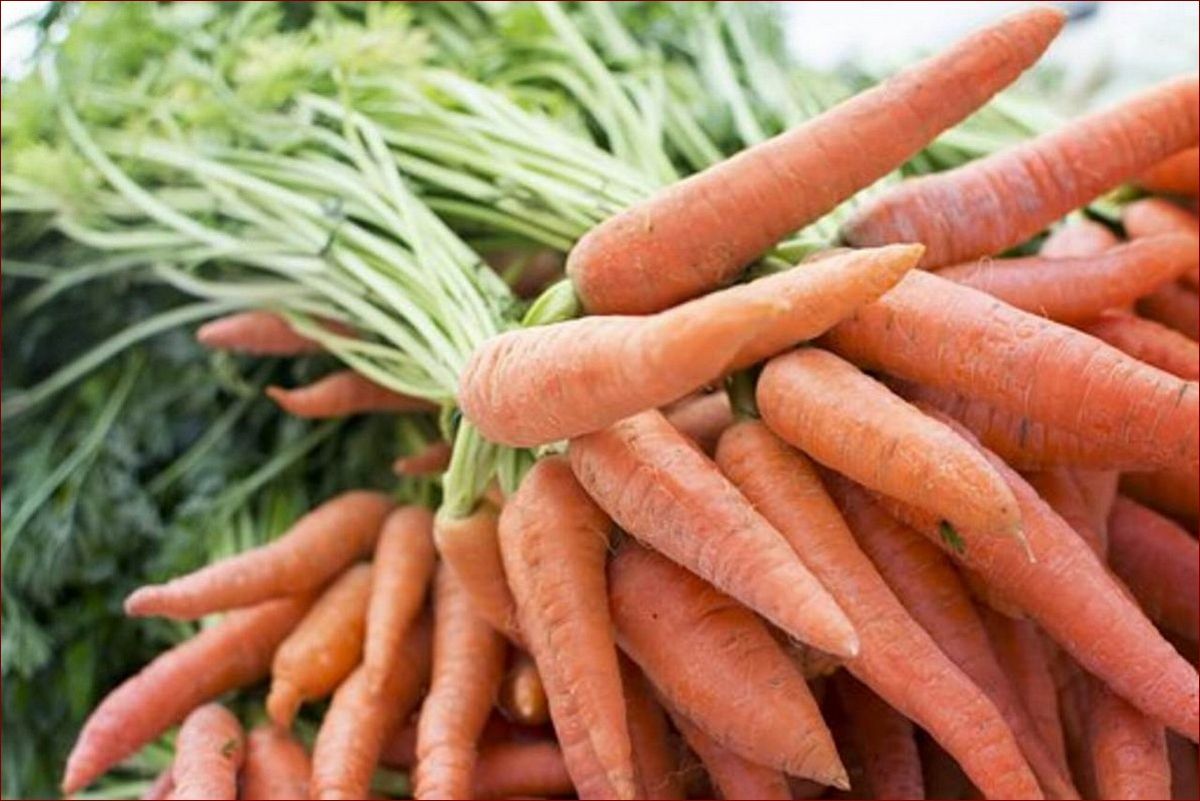 Jak przechowywać marchew na zimę? Praktyczne sposoby na pełną spiżarnię