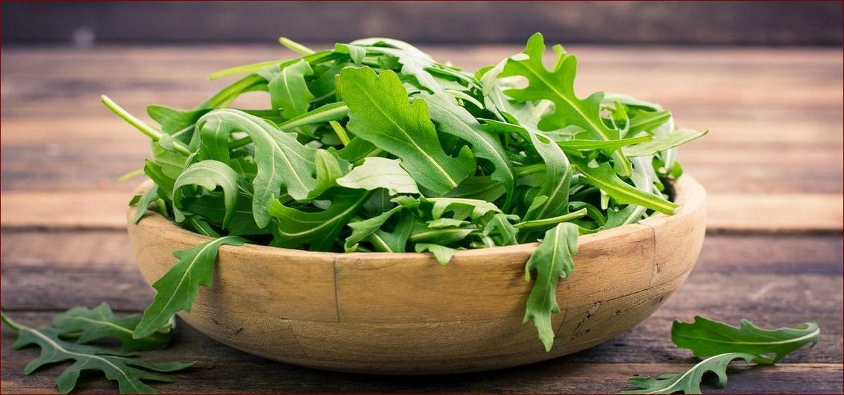 Jak przechowywać rukolę: 7 trików, by była świeża 3x dłużej!