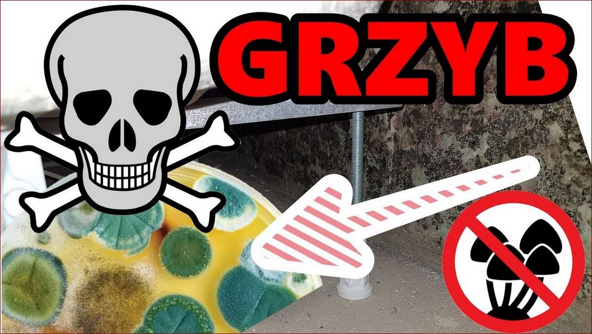 Jak usunąć pleśń raz na zawsze? Sprawdzone sposoby na pozbycie się grzyba