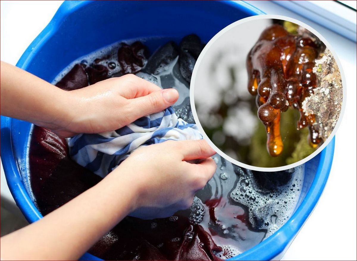 Jak usunąć żywicę z auta? Skuteczne metody i sprawdzone sposoby