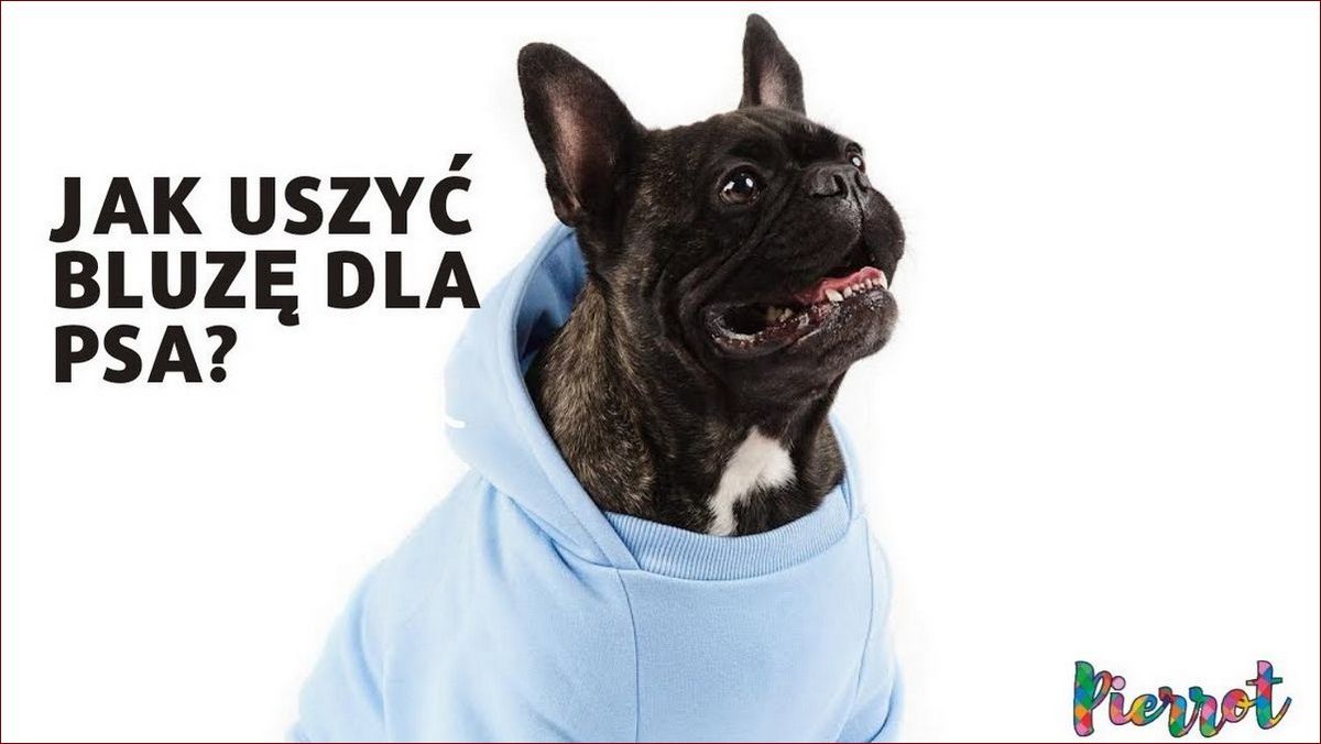 Jak uszyć ubranko dla psa krok po kroku - Praktyczny przewodnik DIY