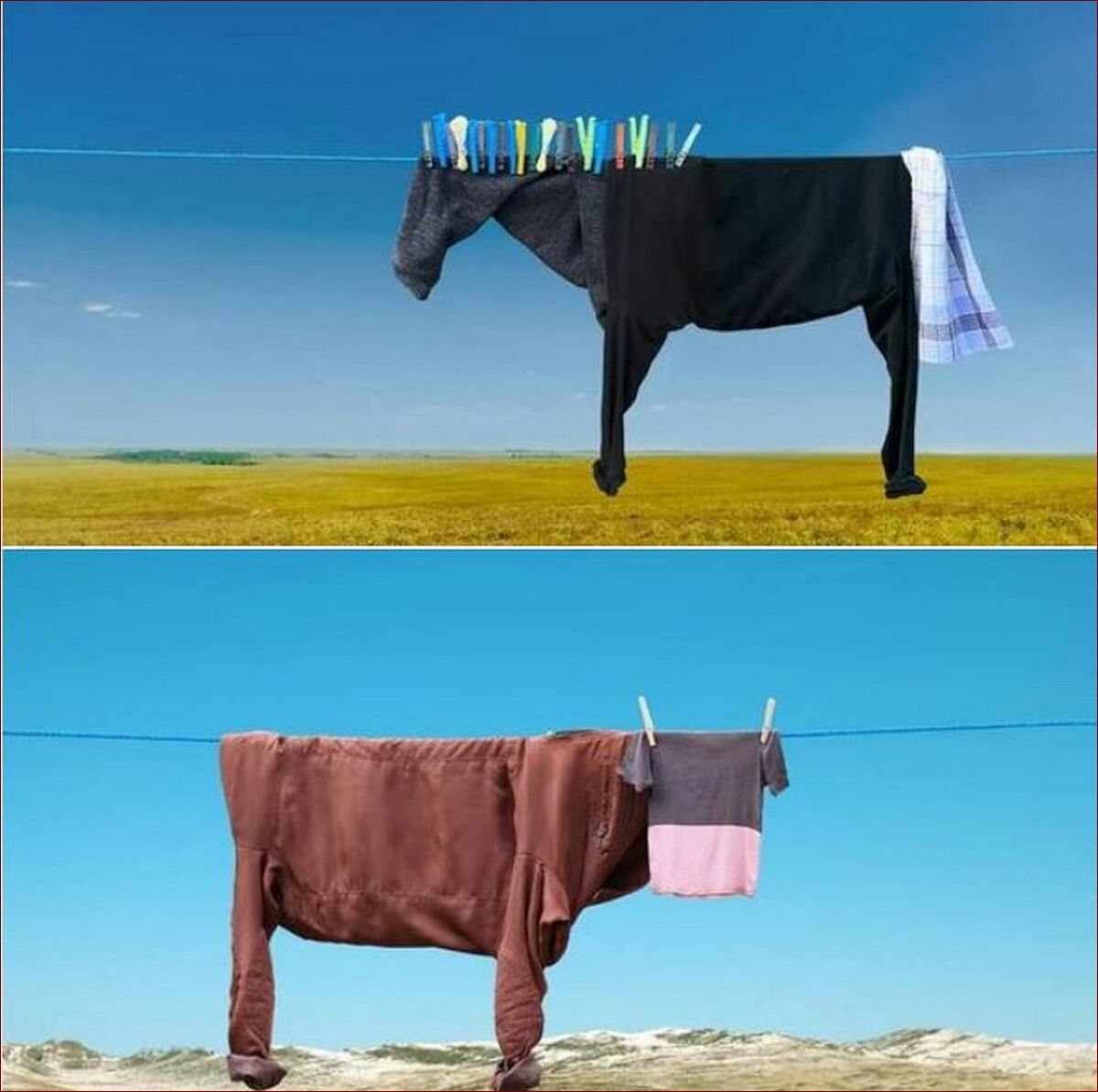 Jak wieszać pranie - sekretne techniki, dzięki którym Twoje ubrania będą świeże i pachnące