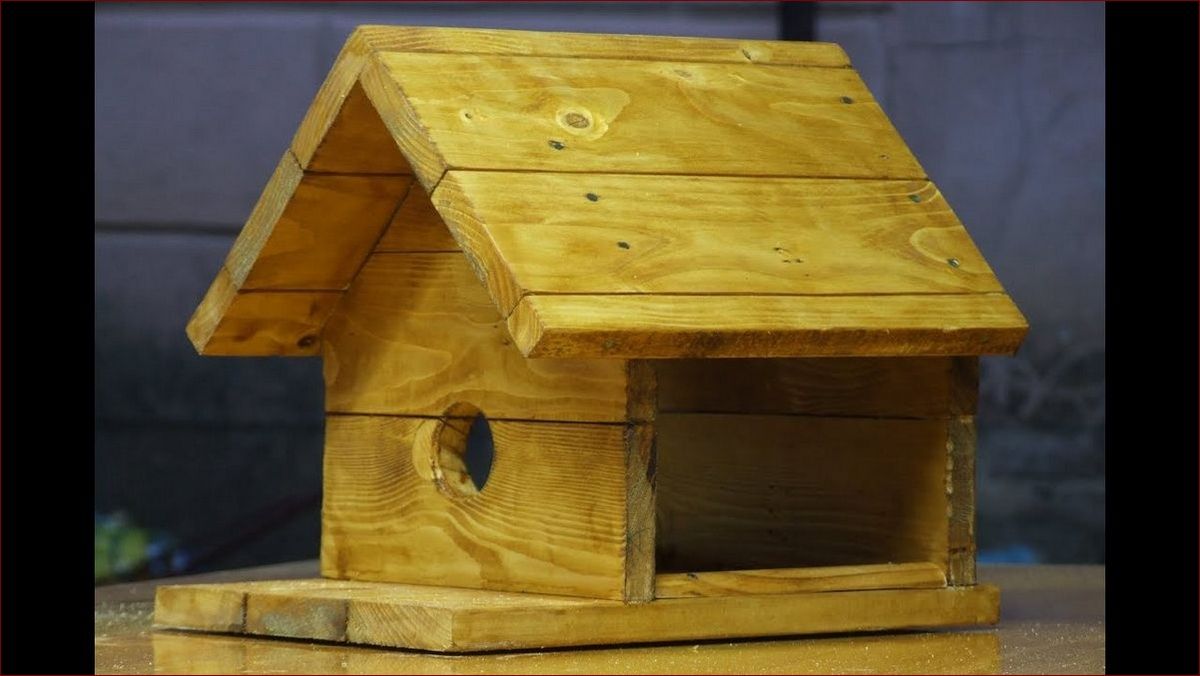 Jak zbudować karmnik dla ptaków krok po kroku? Skuteczny przewodnik DIY