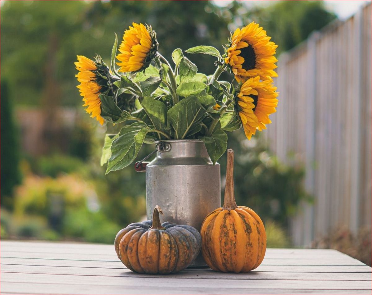 Jesienne dekoracje do domu: 10 pomysłów na przytulną oazę ciepła