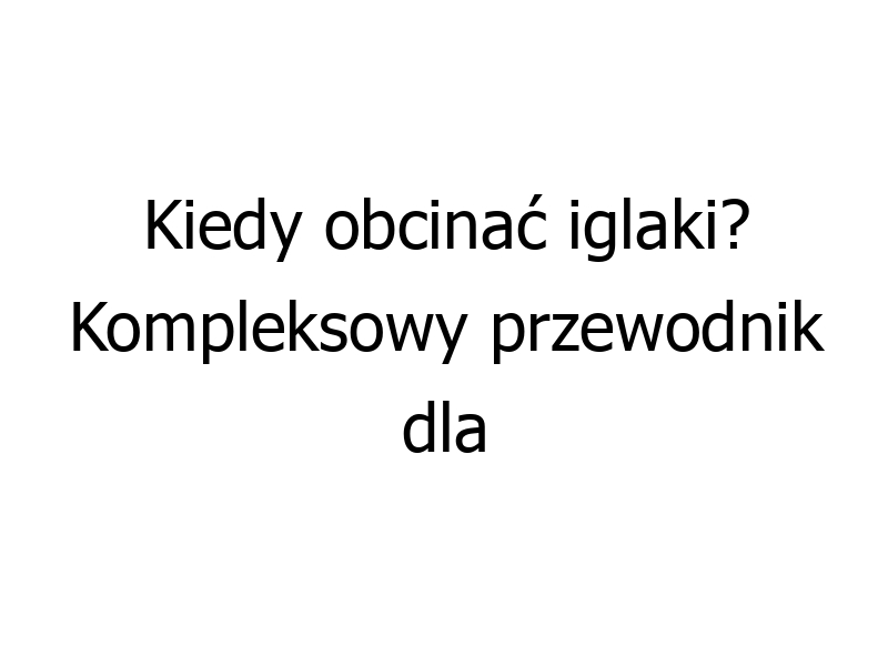 Kiedy obcinać iglaki? Kompleksowy przewodnik dla zdrowych i pięknych roślin