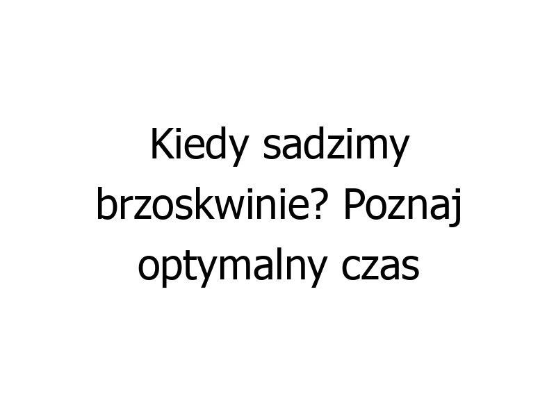 Kiedy sadzimy brzoskwinie? Poznaj optymalny czas i sekrety udanej uprawy!