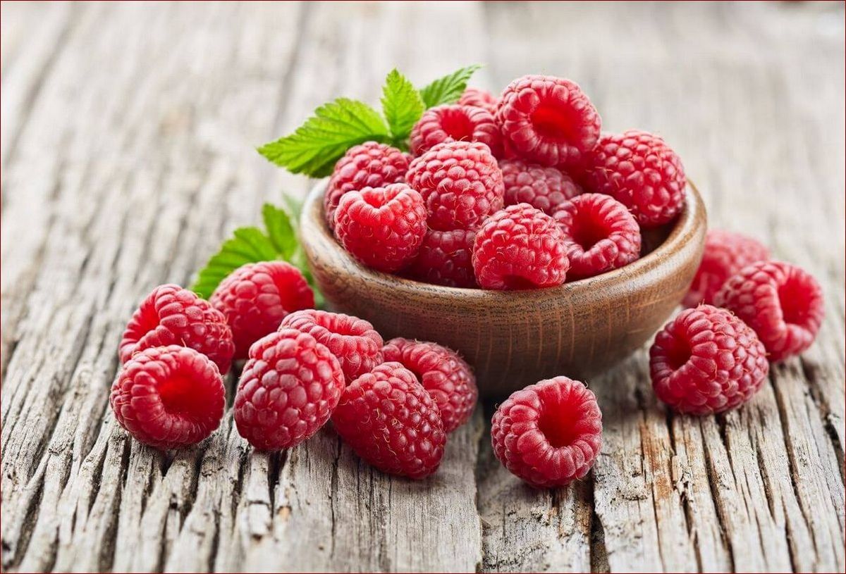 Kiedy sadzimy maliny jesienne? Odkryj najlepszy termin dla soczystych plonów!