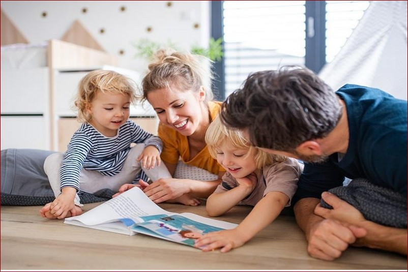 Kiedy siać astry - ostateczny przewodnik dla początkujących ogrodników