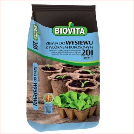 Kiedy siać ogórki na rozsadę? Sprawdź terminy i porady dla każdej strefy!