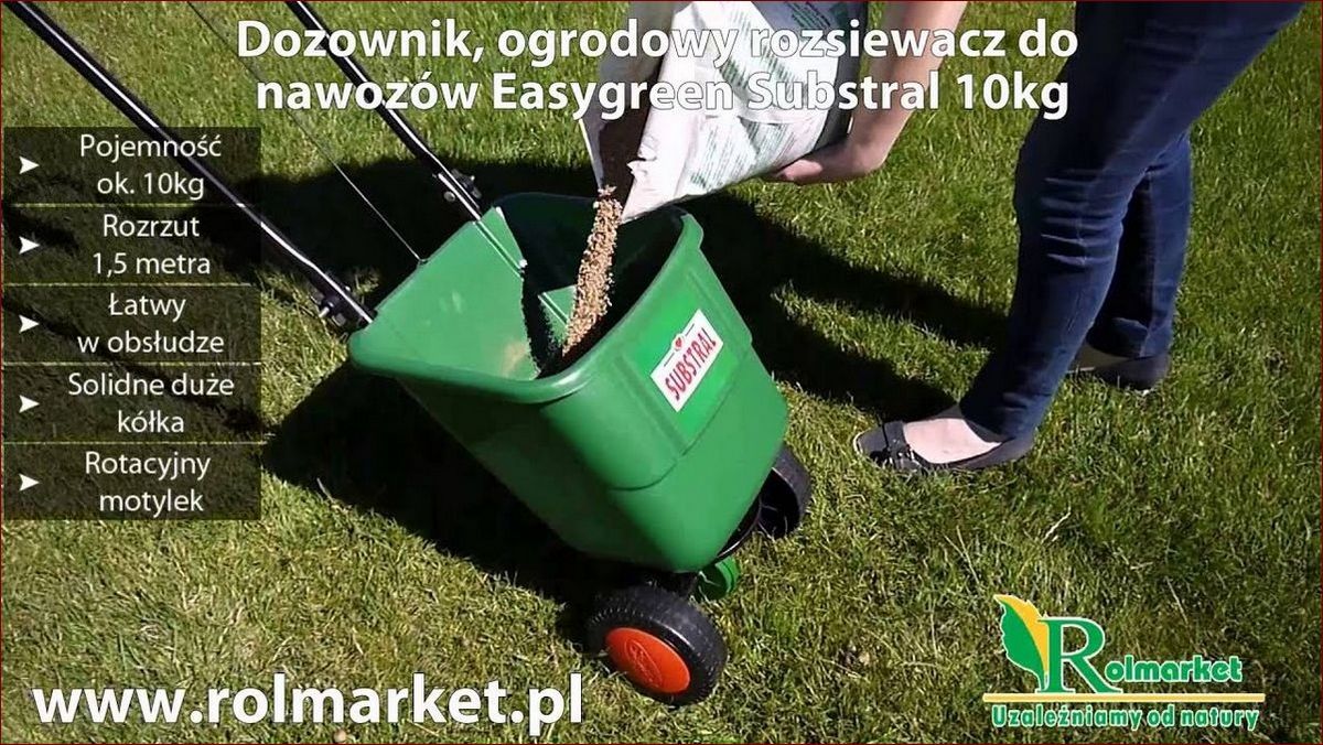 Kiedy wiązać trawy? Sekrety ogrodników dla bujnych i zadaszonych trawników