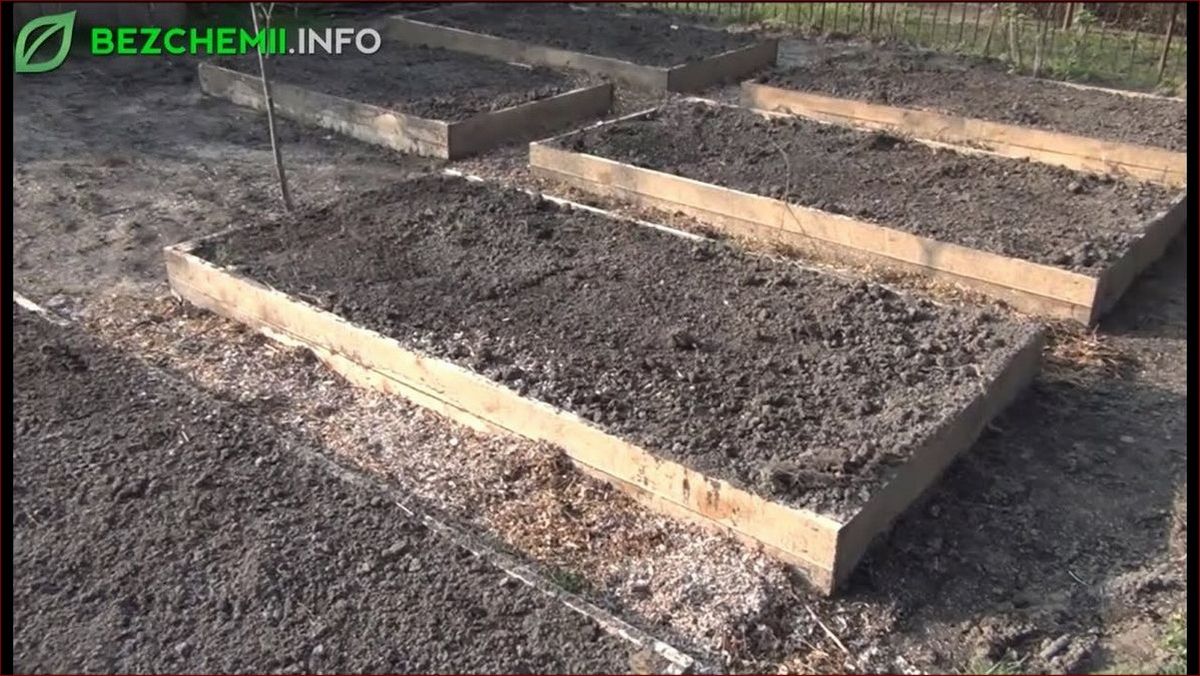 Kiedy wiązać trawy? Sekrety ogrodników dla bujnych i zadaszonych trawników