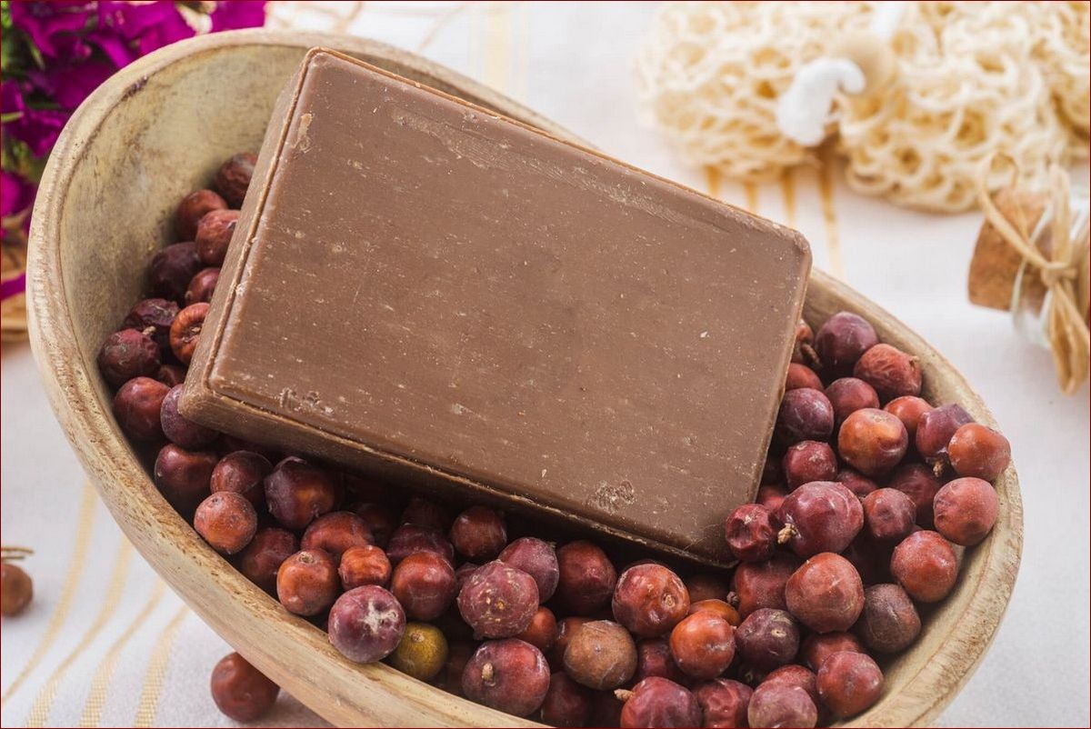 Kiedy wykopać marchew? Odkryj idealny moment na świeże i chrupiące warzywo