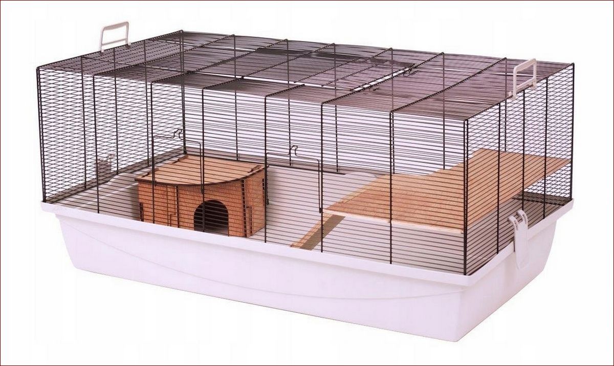 Klatka dla szczura - Idealne rozwiązanie dla aktywnego gryzonia
