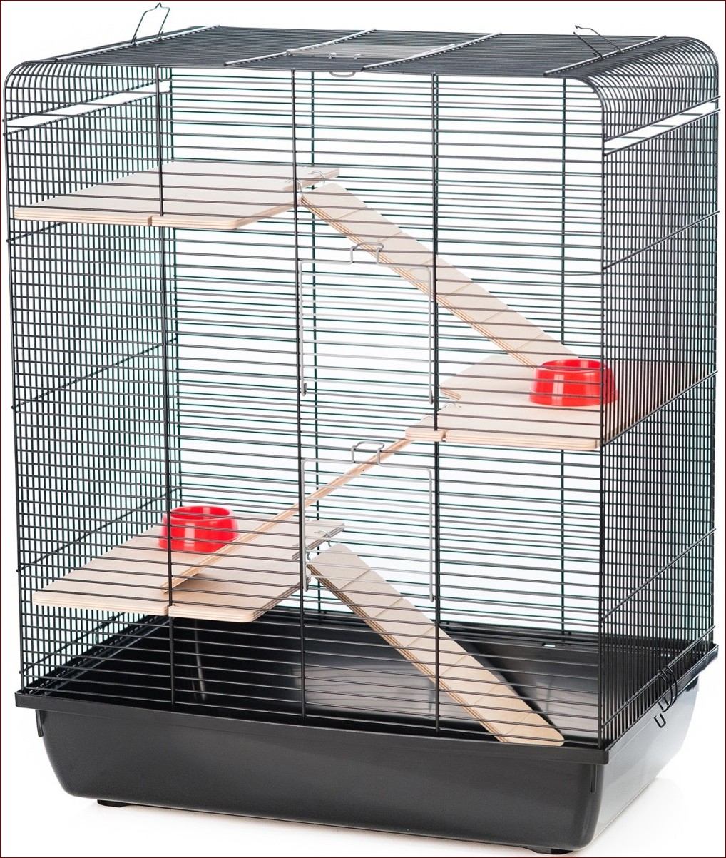 Klatka dla szczura - Idealne rozwiązanie dla aktywnego gryzonia