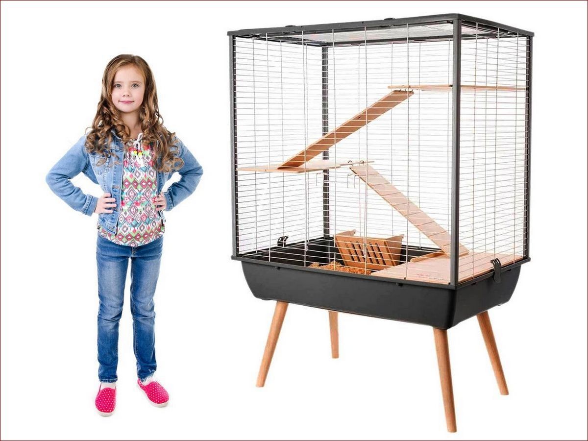 Klatka dla szczura - Idealne rozwiązanie dla aktywnego gryzonia