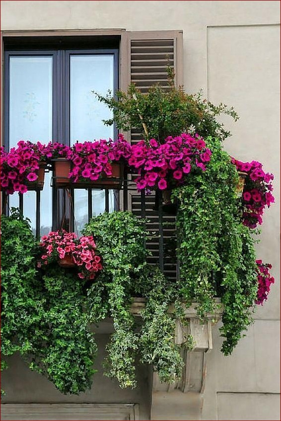 Kompozycje kwiatowe na balkon: Magiczna metamorfoza miejskiej dżungli