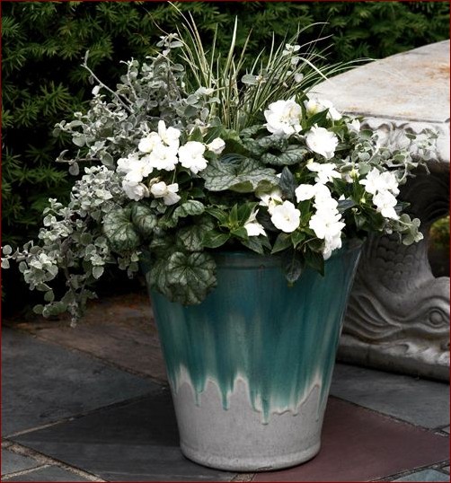 Kompozycje w donicach przed domem: Magia natury na Twoim progu