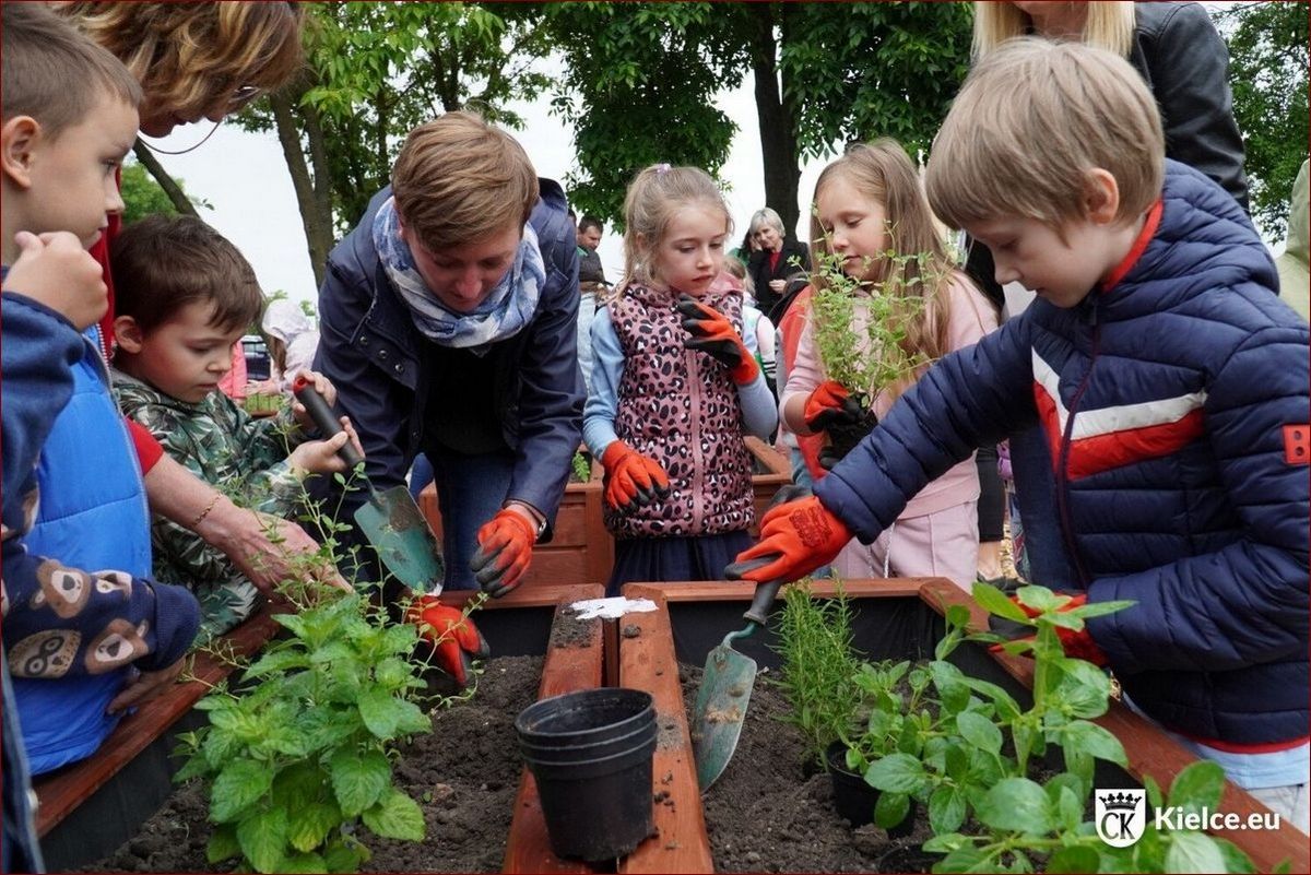 Krzewy z fioletowymi kwiatami - stworzyć bajkowy ogród pełen uroku i kolorów