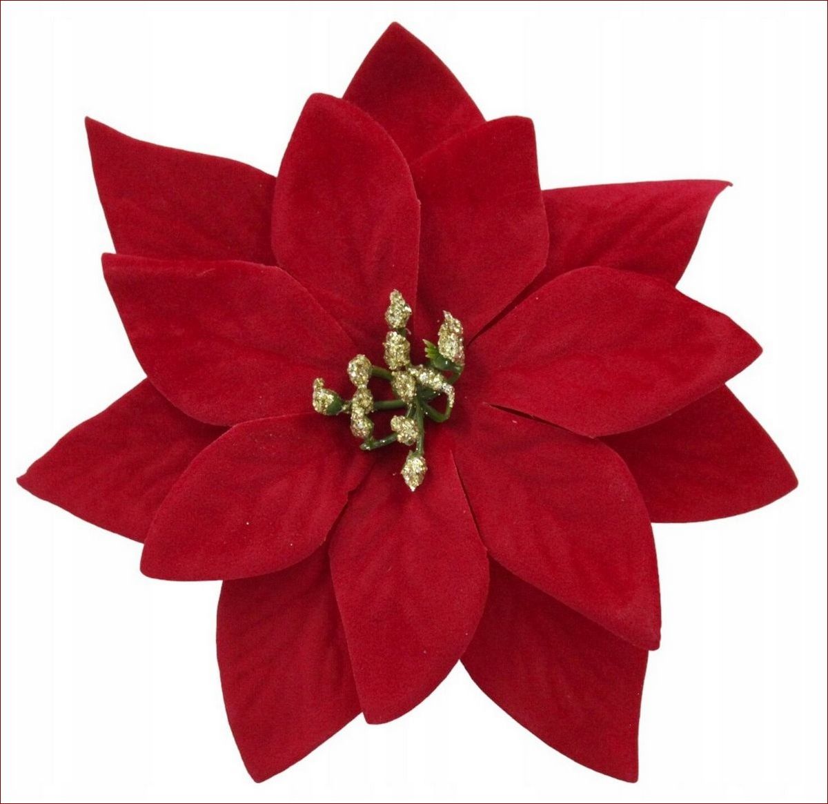 Kwiat gwiazda betlejemska - magiczna ozdoba świąteczna o niezwykłej historii