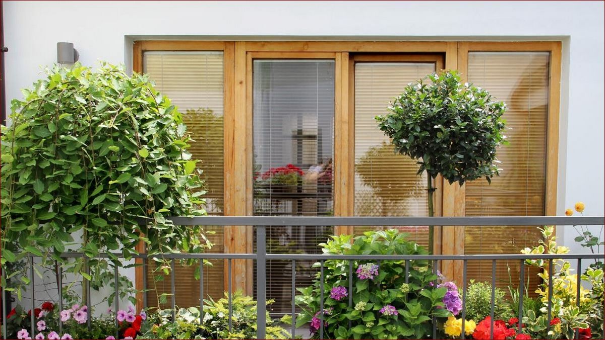 Kwiaty na balkon zachodni - praktyczny przewodnik dla pięknego i zadbanych balkonu