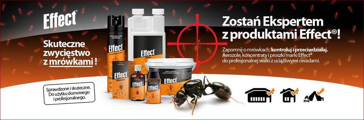 Mrowki w samochodzie? Prosty i skuteczny sposób na pozbycie się uciążliwych gości!