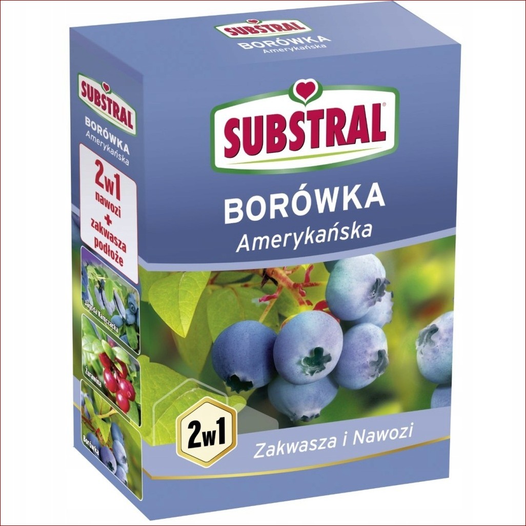 Nawóz do borówki amerykańskiej: Klucz do obfitych plonów i smacznych owoców