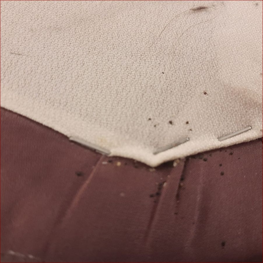 Odchody pluskwy na pościeli? Jak rozpoznać te niepożądane ślady i uniknąć inwazji