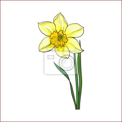 Żonkil a Narcyz: Odkryj Subtelne Różnice Tych Wiosennych Kwiatów o Bogatej Symbolice