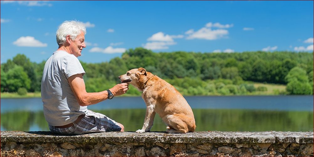 Pies dla seniora – dowiedz się, jak zyskać wiernego towarzysza i poprawić zdrowie
