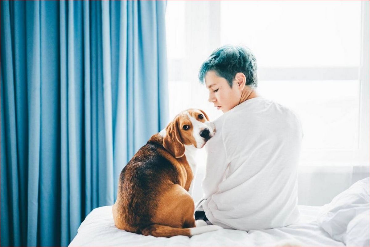 Pies wymiotuje żółcią? Sprawdź, co to oznacza i jak szybko zareagować