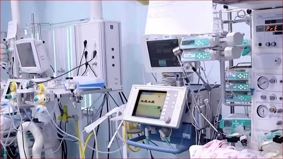 Plaga much w domu? Sprawdzone sposoby na pozbycie się natrętnych insektów raz na zawsze